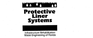 PROTECTIVE LINER SYSTEMS INFRASTRUCTURE REHABILITATION WASTE ENGINEERING OF FLORIDA logo
