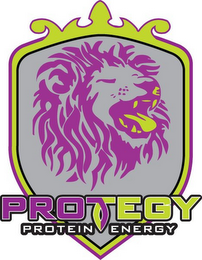 PROTEGY PROTEIN ENERGY logo