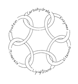 PROTEIN CARBOHYDRATES ENZYMES VITAMINS LIPID/STEROL MINERALS logo