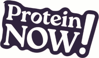 PROTEIN NOW logo