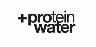 +PROTEIN WATER logo