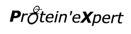 PROTEIN'EXPERT logo