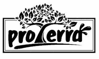 PROTERRA logo