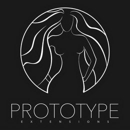 PROTOTYPE EXTENSIONS logo
