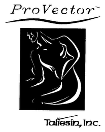 PROVECTOR TALIESIN, INC. logo