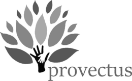 PROVECTUS logo