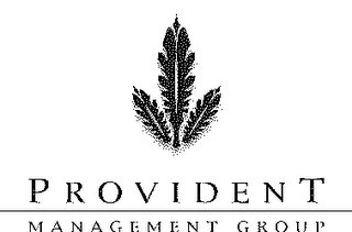 PROVIDENT MANAGEMENT GROUP logo