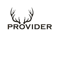 PROVIDER logo