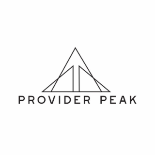 PROVIDER PEAK logo
