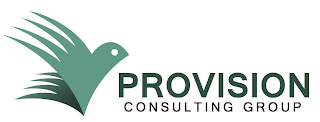PROVISION CONSULTING GROUP logo