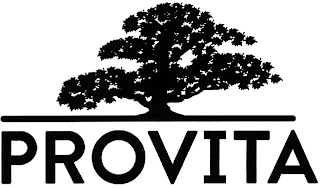 PROVITA logo