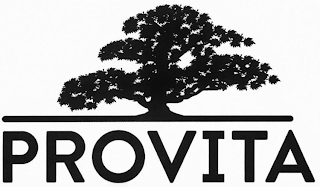 PROVITA logo