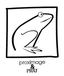 PROXIMAGE & PRAT logo