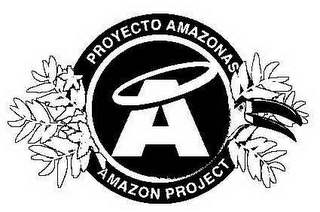 PROYECTO AMAZONAS AMAZON PROJECT A logo