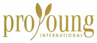 PROYOUNG INTERNATIONAL logo