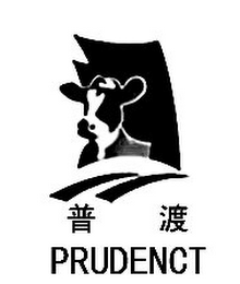 PRUDENCT logo