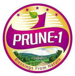 PRUNE-1 BLESSING FROM NATURE logo
