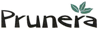 PRUNERA logo