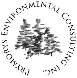 PRYMORYS ENVIRONMENTAL CONSULTING INC. logo