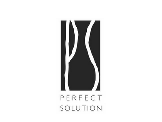 PS PERFECT SOLUTION logo
