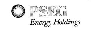 PSEG ENERGY HOLDINGS logo