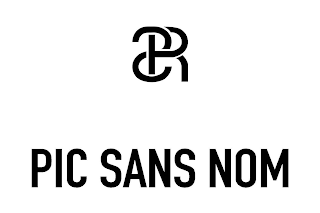 PSN PIC SANS NOM logo