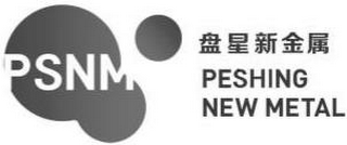 PSNM PESHING NEW METAL logo