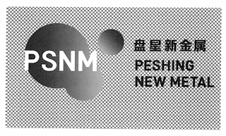 PSNM PESHING NEW METAL logo