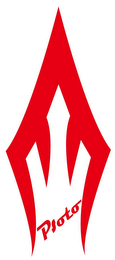 PSOTO logo