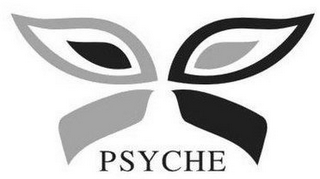 PSYCHE logo