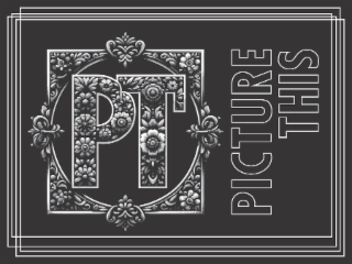 PT PICTURE THIS logo