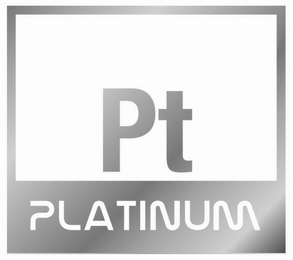 PT PLATINUM logo