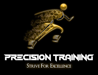 PT PRECISION TRAINING STRIVE FOR EXCELLENCE logo