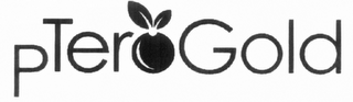 PTEROGOLD logo