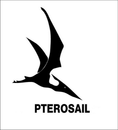 PTEROSAIL logo