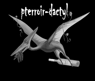 PTERROIR-DACTYL logo