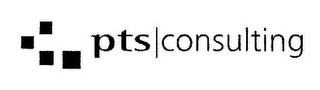 PTS CONSULTING logo