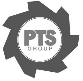 PTS GROUP logo