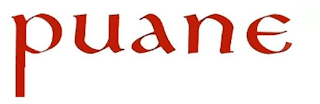 PUANE logo