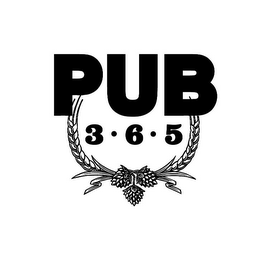 PUB 3 6 5 logo