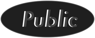 PUBLIC logo