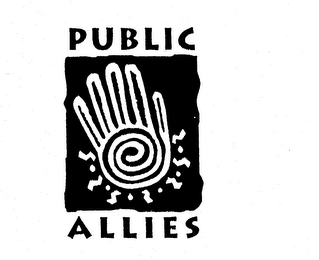 PUBLIC ALLIES logo