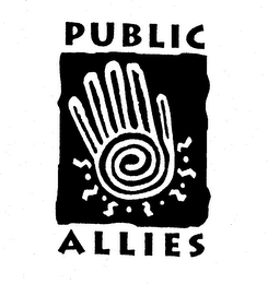 PUBLIC ALLIES logo