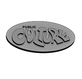 PUBLIC CULTURE logo