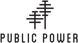 PUBLIC POWER logo