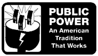 PUBLIC POWER AN AMERICAN TRADITION THAT WORKS logo