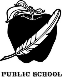 PUBLIC SCHOOL logo