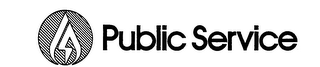 PUBLIC SERVICE logo