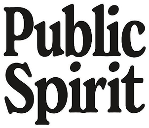 PUBLIC SPIRIT logo