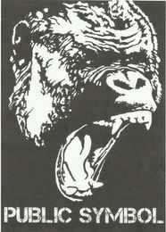 PUBLIC SYMBOL logo